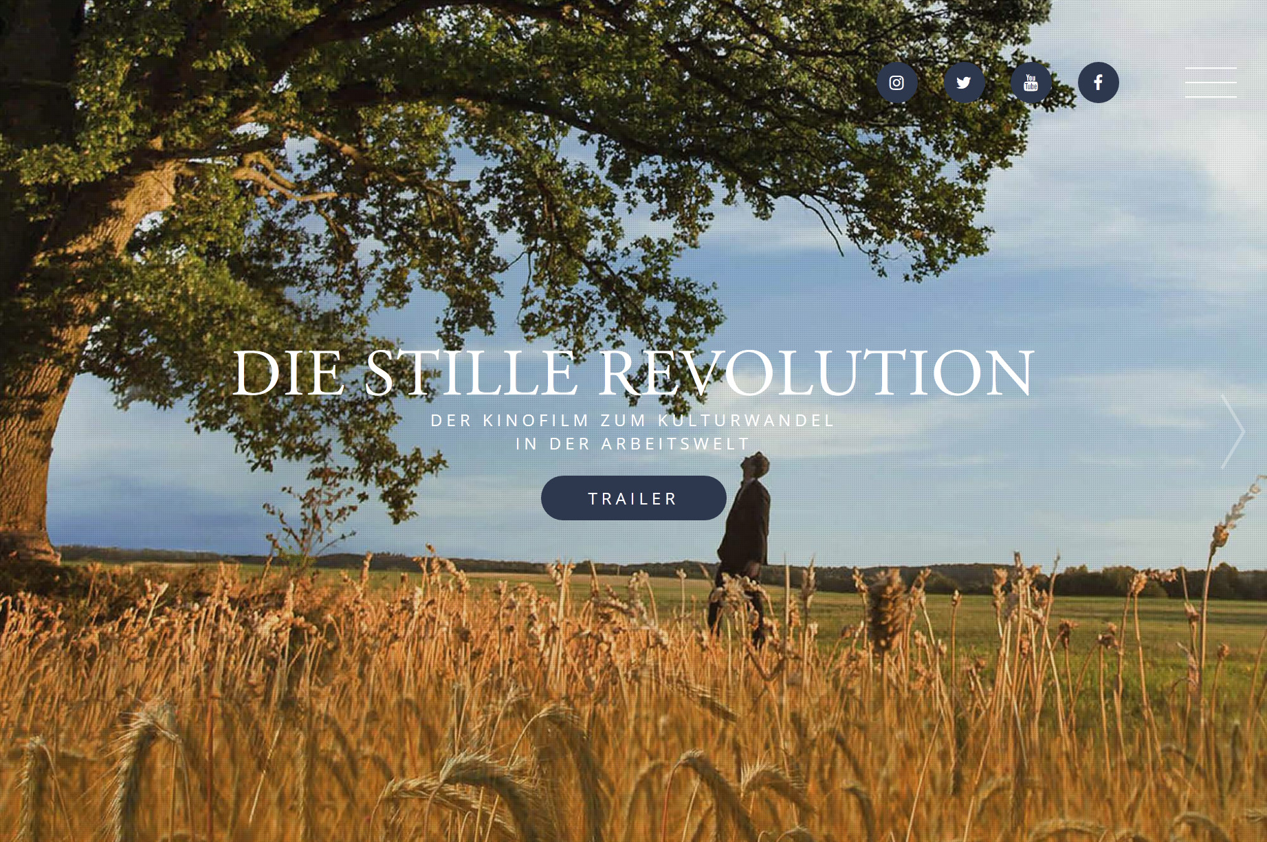 Screenshot Website "Die stille Revolution"