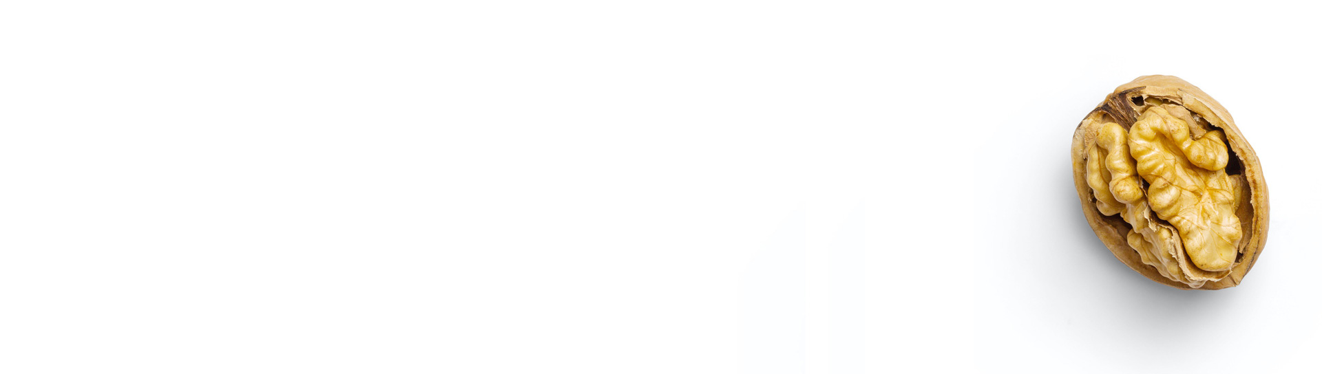 Wie widerstandsfähig sind Ihre Prozesse?